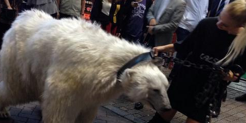 闽讯:遛鸟遛狗 这些都out了 看看他们遛啥动物