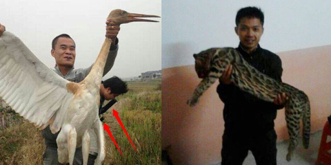 “猎杀豹猫”男子现身 称“豹猫”是家猫