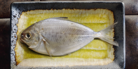 饮食男女:一种鱼是护肾良药