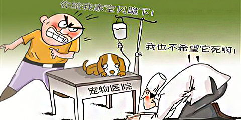 医生跪狗，这事大在哪儿？ 