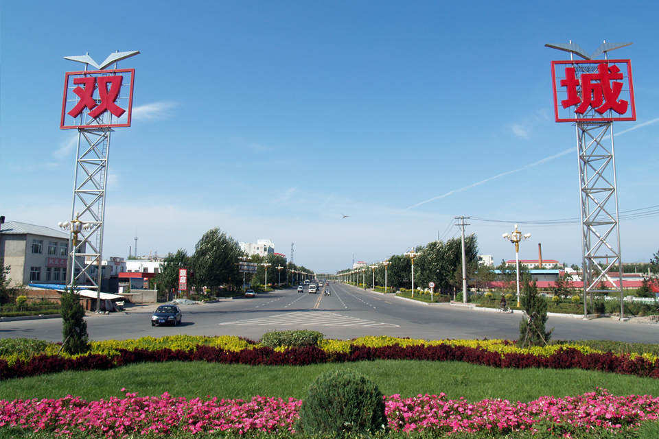 双城简介