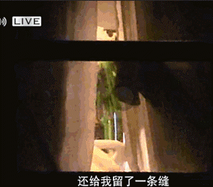 300_264gif 动态图 动图