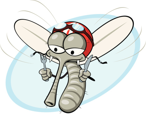 蚊子为什么爱叮脚