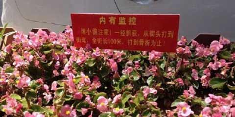 冀头条:唐山最牛警示牌“暴打小偷”