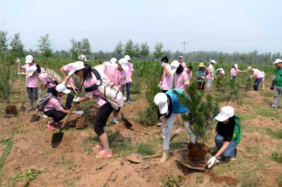 大家忙的热火朝天