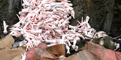 海关未答1967年冻肉是否存在