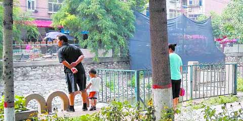 冀头条:保定护城河漂满死鱼