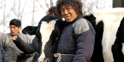 黄渤:各地流氓欺负人我都能学