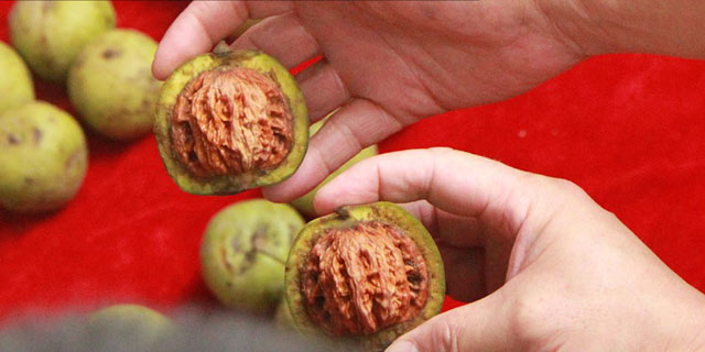 揭秘赌青皮背后藏着哪些内幕
