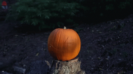 啊哈哈哈哈哈！