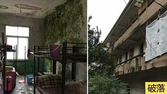 中学宿舍墙壁长满青苔