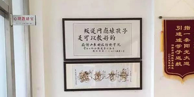 16岁弑母少女的背后:曾发帖扬言让家人不死也残