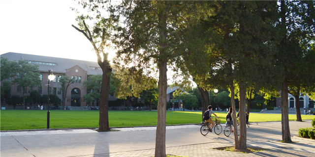 被冒名的王娜娜该怎么上大学