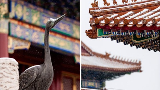 北京飘雪 故宫现绝美雪景