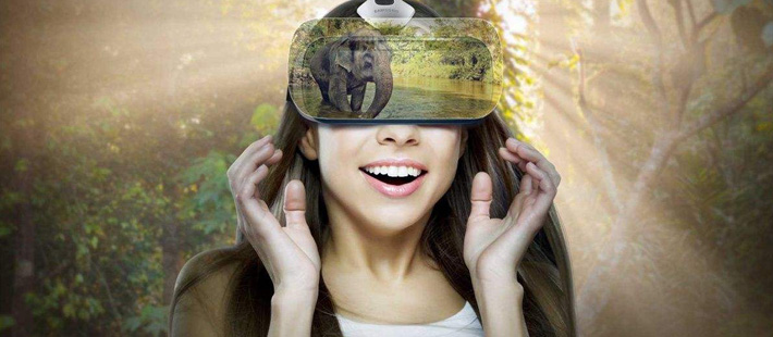 VR，风口上的猪掉下来了吗？