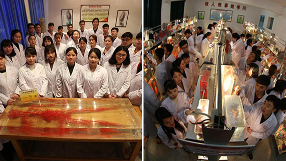 毕业了他们与人体标本合照告别