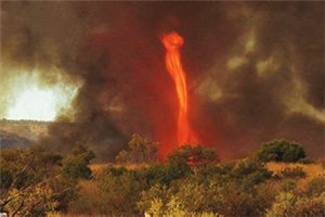 危情！  澳大利亚山林大火引发“火焰龙卷风”