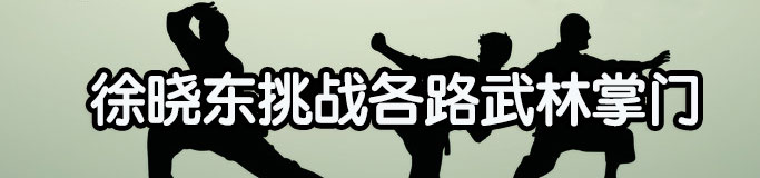 徐晓东挑战各路武林掌门