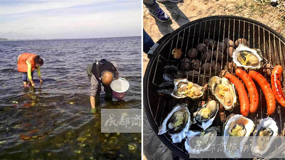 “丹麦生蚝泛滥” 这家吃货也真去了！