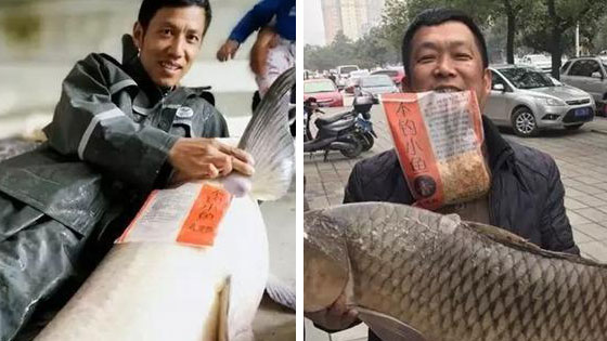 男子钓鱼钓出“巨物”  搏斗2小时终于拉出水面