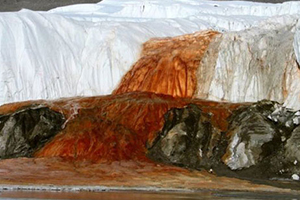 南极恐怖“血瀑布”源源不断 背后真相惊人