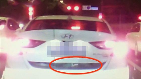 手机新浪网 新浪