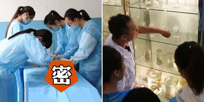 医学院女生自述上解剖课经历 吓到不敢吃肉