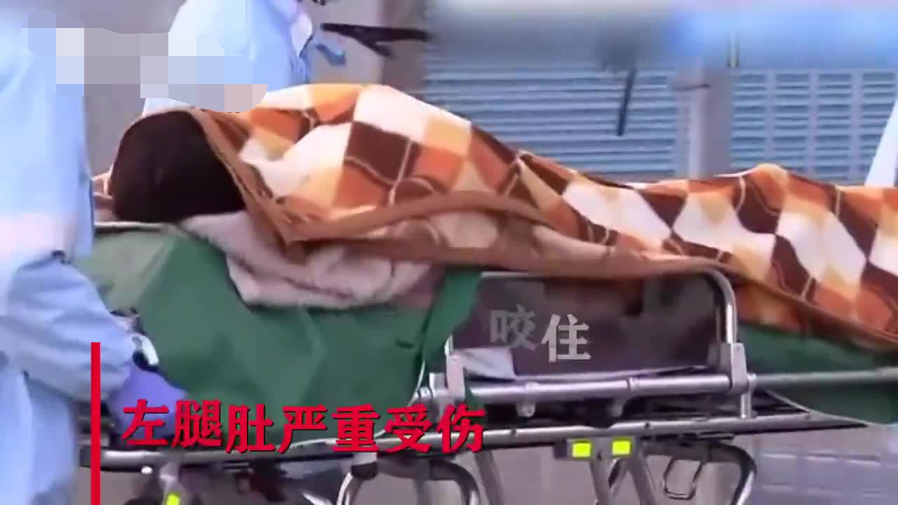 钓鱼男子被野猪咬伤反将其闷死 警察惊了