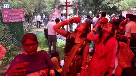 印度200人举行喝牛尿派对 希望以此防止新冠病毒