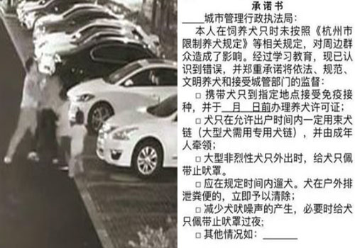 狗主人打人事件后续 杭州加强养狗管理