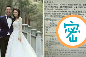 张雨绮资产疑遭算计 前夫净资产明细曝光