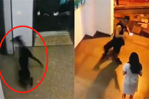 养狗扰民 狗主人竟教唆狗咬人