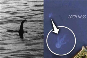 最新科学研究：尼斯湖水怪可能真的存在
