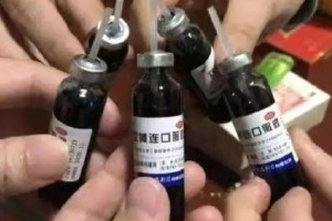 市民深夜排百米长队买双黄连：买药排队最长的一次