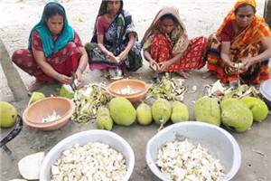 怕吃肉感染印度人疯抢菠萝蜜