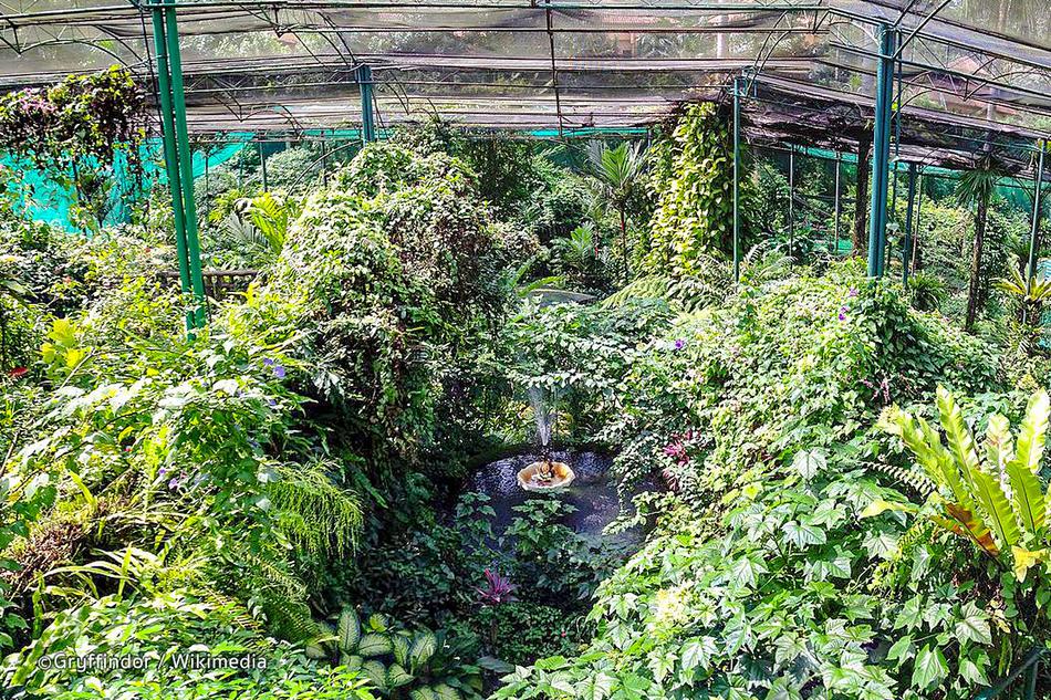 吉隆坡蝴蝶公园拥有超过8万平方英尺的园景花园