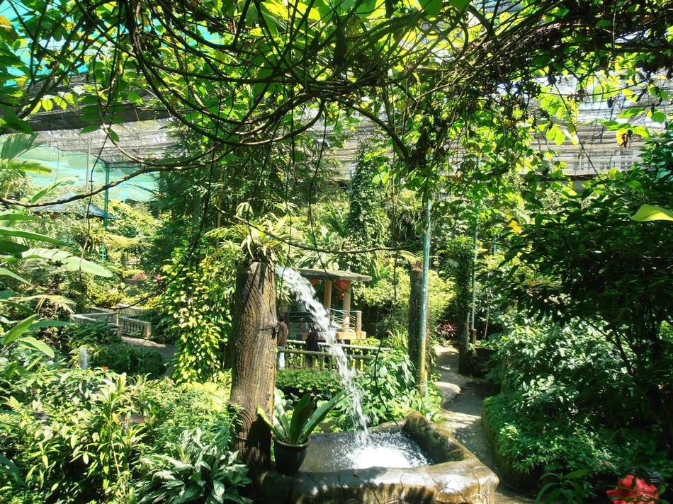 吉隆坡蝴蝶公园拥有超过8万平方英尺的园景花园