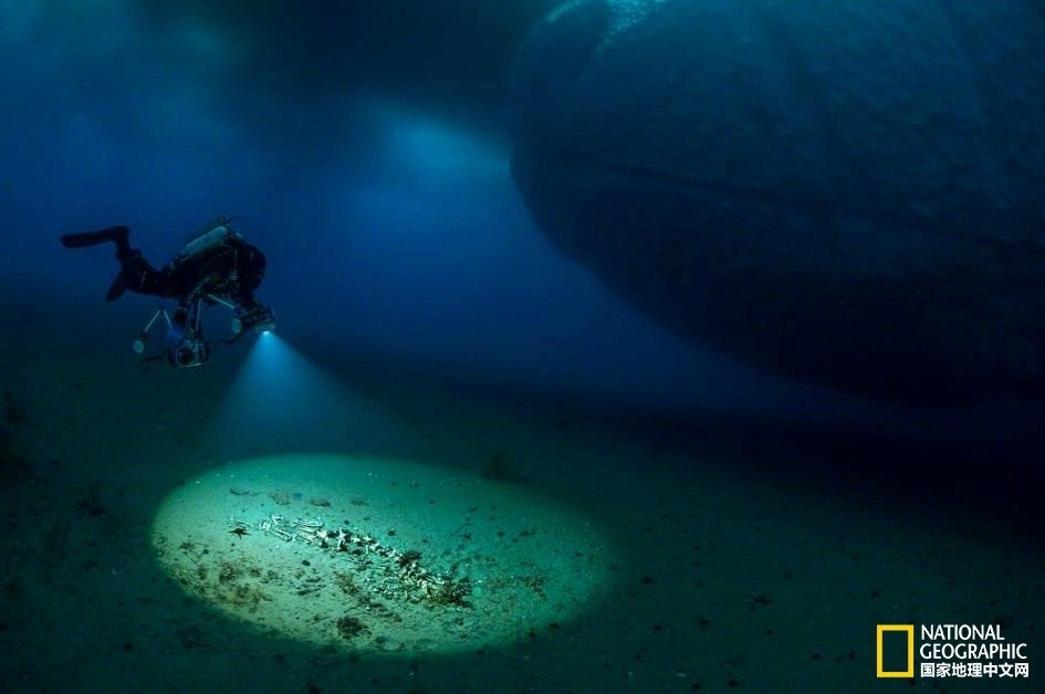 探索南极深海幻境