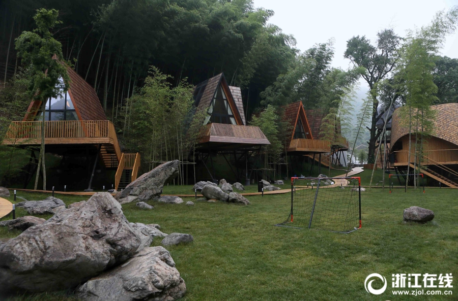 想想都浪漫!住在树上的"树蛙部落"