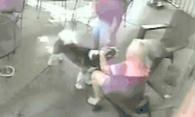 恐怖！模特悠闲逗狗 下一秒狗上前撕咬