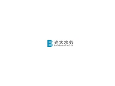 中国光大水务