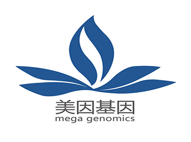 美因基因
