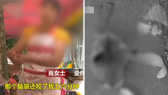 流浪猫突然发狂咬人 屠夫割下其脑袋后仍不松口