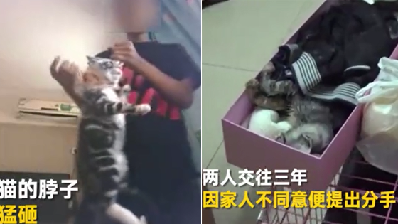 男子虐杀女友小猫逼复合 被人肉遭暴打