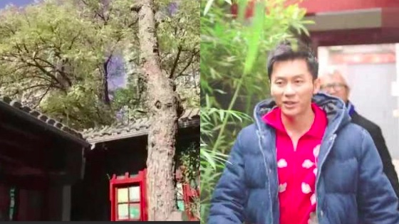 李晨四合院值九亿？中介透露真实价格