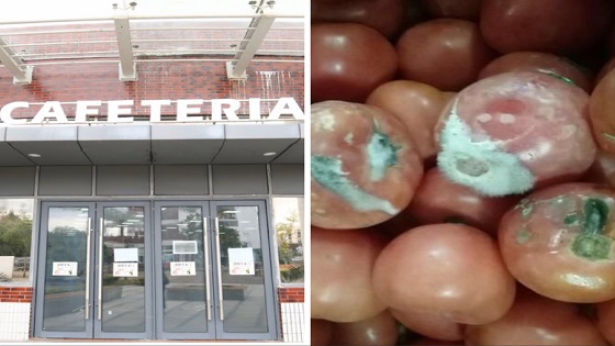 上海一国际学校发现食材变质 供应商为知名外企子公司