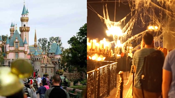 毛骨悚然！游客爱把亲人骨灰撒到迪士尼园内