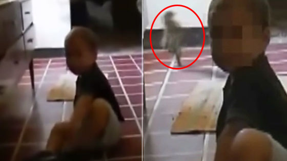 女子家中拍到诡异人形生物 身上散发奇怪气味