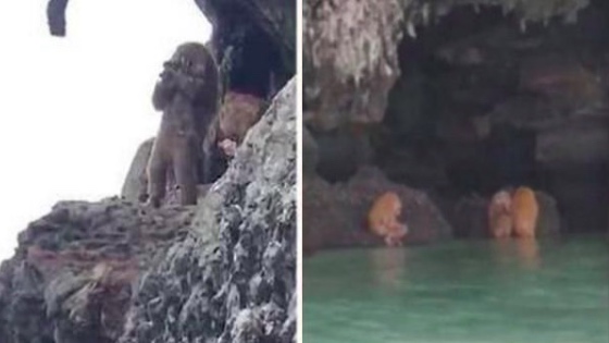 泰国游客拍到“半人半猿”生物 诡异笛声吓坏游客