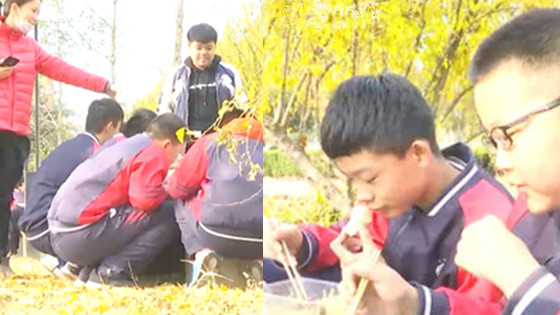 建成两年却没学校食堂 学生蹲在小树林吃饭